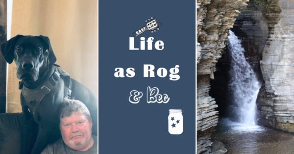 lifeasrog new header