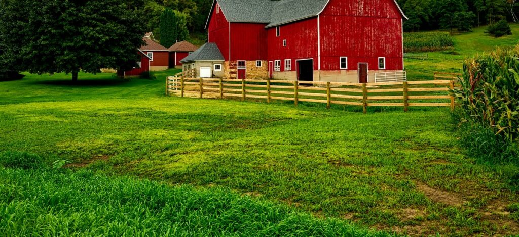 homesteading for beginners