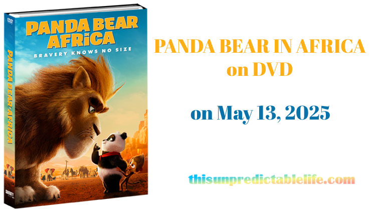 panda bear in africa